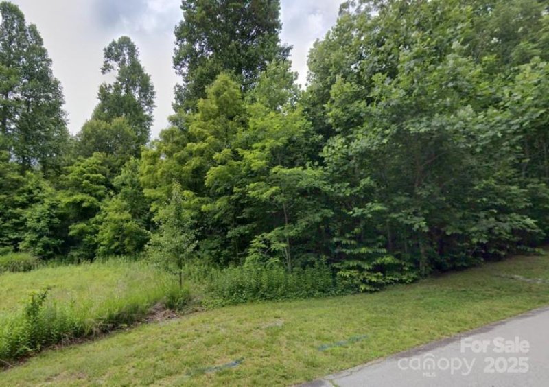 Property image 3 at 60 Ivywood Lane, Hendersonville, NC 28739