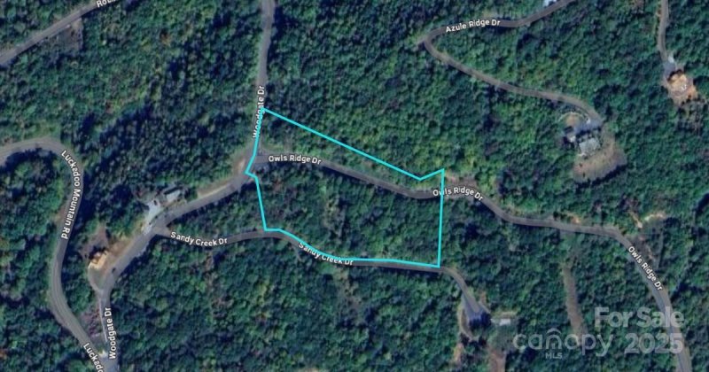 Lot 116 Owls Ridge Drive