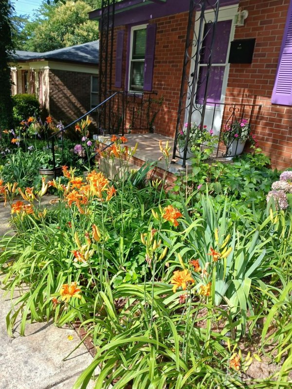 Property image 3 of 1609 Taylor Avenue in Biddle Heights, Charlotte, NC 28216