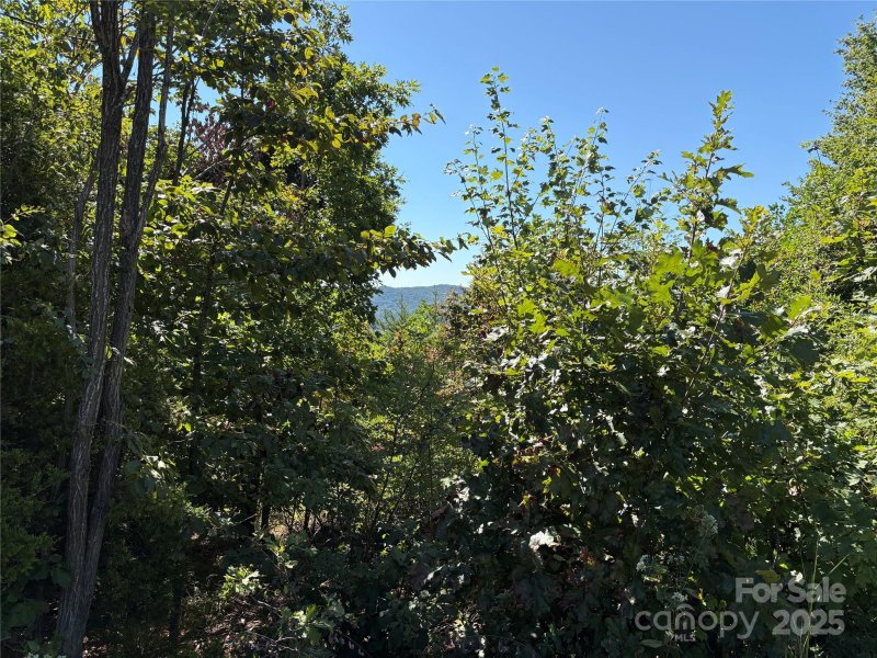 Property image 5 of 00 Azule Ridge Drive in South Mountain Peaks, Bostic, NC 28018