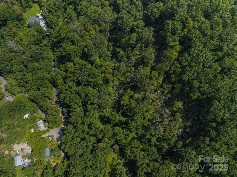 Property image 4 at 99999 Cedar Mountain Road, Asheville, NC 28803