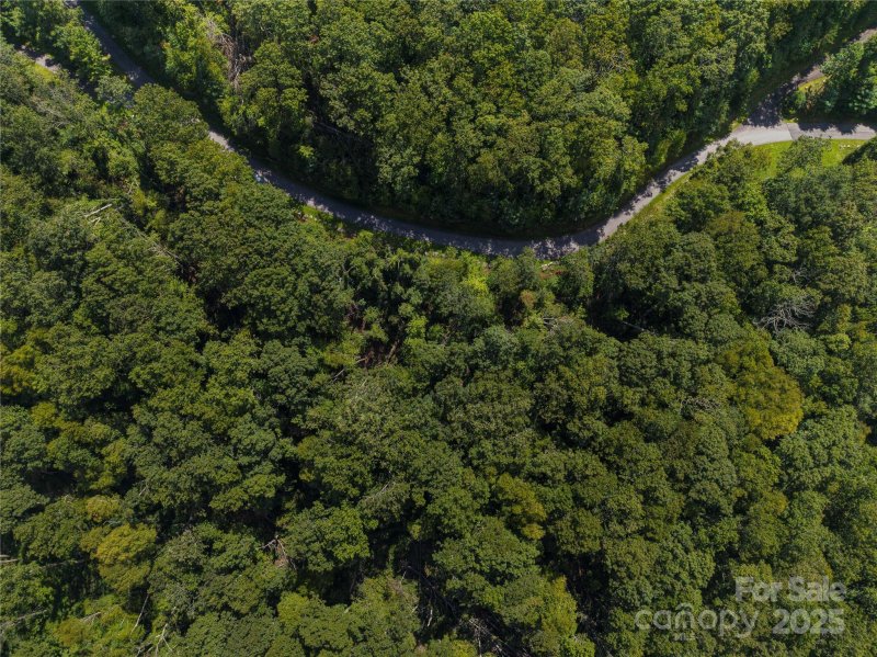 Property image 2 of 52 Castanea Mountain Drive in Chestnut Mountain, Asheville, NC 28803