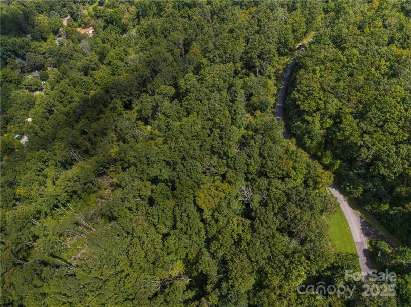 Property image 4 of 52 Castanea Mountain Drive in Chestnut Mountain, Asheville, NC 28803