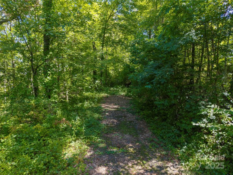 Property image 2 at 27 Casta Way, Asheville, NC 28803