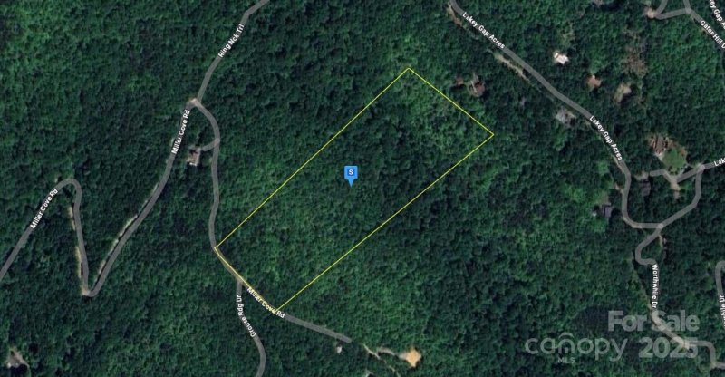 Miller Cove, Black Mountain Community