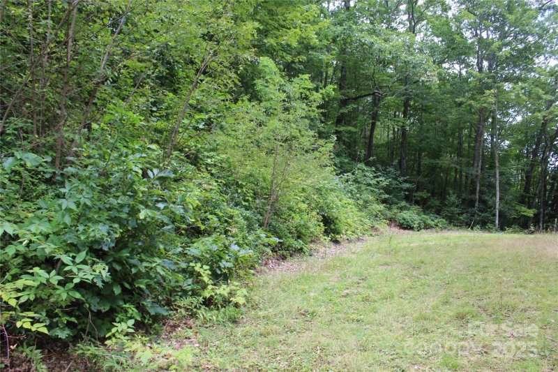 Property image 3 of 920 Autumn Drive in Smoky Falls, Maggie Valley, NC 28751