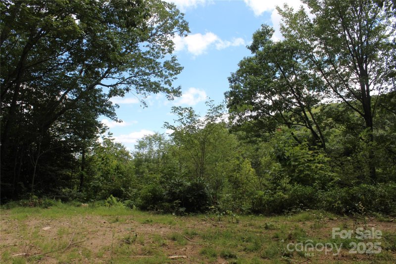 Property image 5 of 920 Autumn Drive in Smoky Falls, Maggie Valley, NC 28751