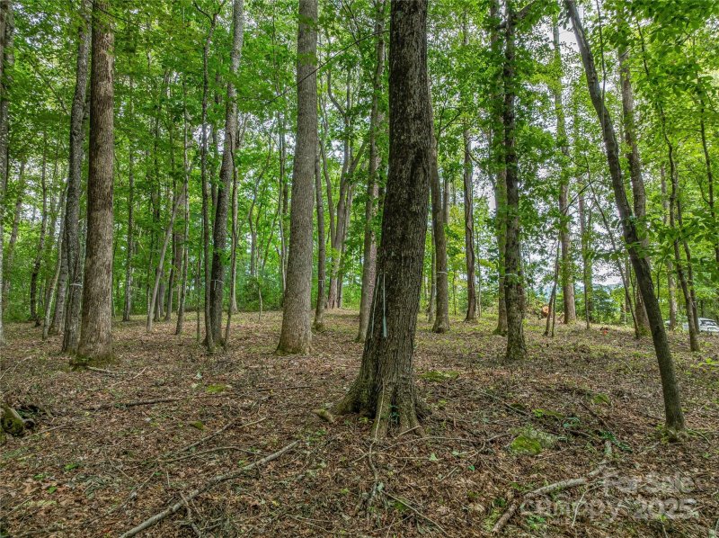 Property image 5 of 644 Walnut Valley Parkway in The Cliffs At Walnut Cove, Arden, NC 28704