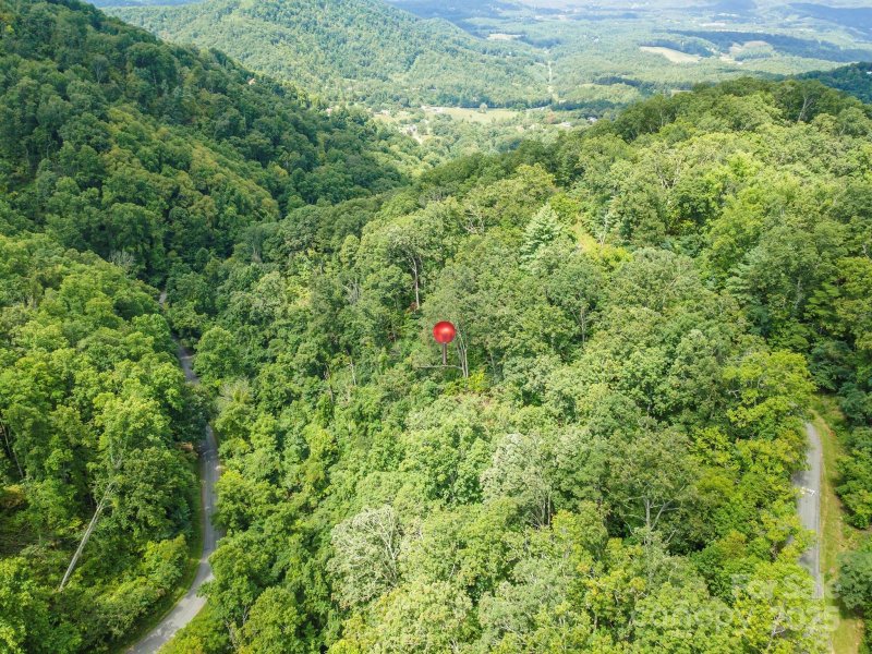 Property image 3 of 1559 Seven Glens Drive in Seven Glens, Weaverville, NC 28787