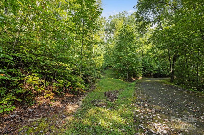 Property image 4 of Tbd Barts Branch Drive in Sweetwater Ridge, Balsam Grove, NC 28708