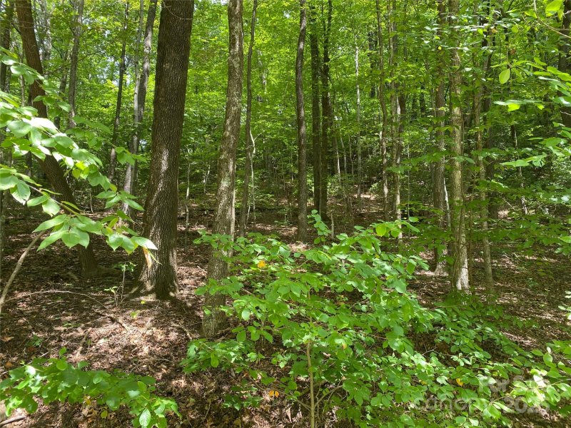 Property image 2 of 000 Steven Street in Riverbend, Lake Lure, NC 28746