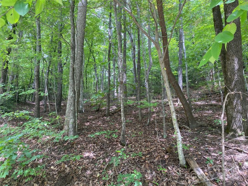 Property image 3 of 000 Steven Street in Riverbend, Lake Lure, NC 28746