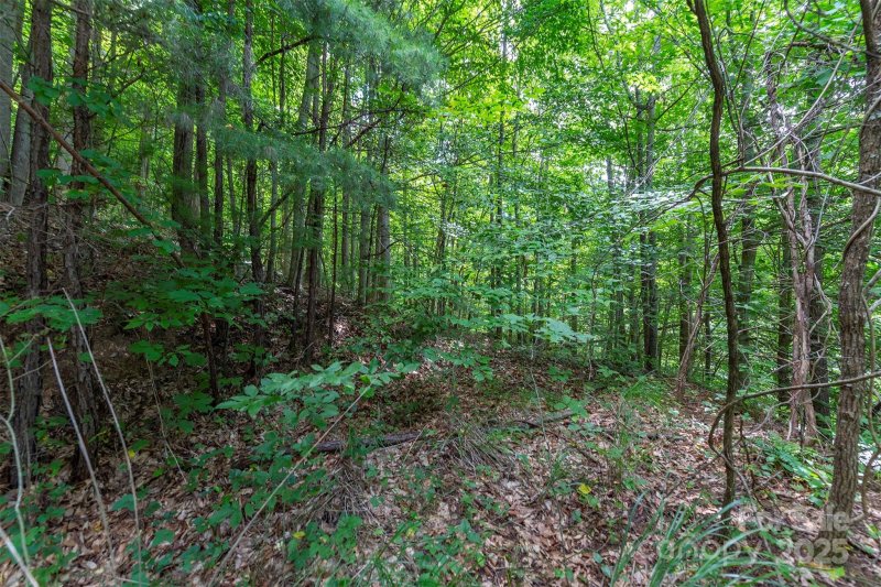 Property image 3 of 72 Applewood Lane in Seven Glens, Weaverville, NC 28787