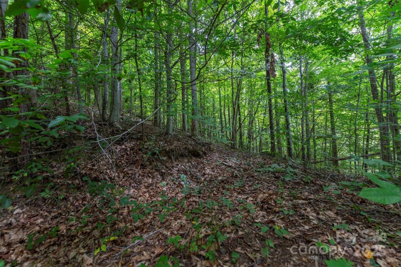 Property image 4 of 72 Applewood Lane in Seven Glens, Weaverville, NC 28787