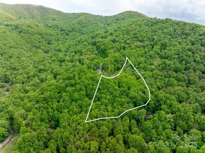 Property image 2 of 1111 Elm Tree Lane in High Hickory, Swannanoa, NC 28778