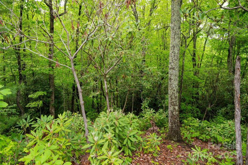 Property image 4 of 1111 Elm Tree Lane in High Hickory, Swannanoa, NC 28778