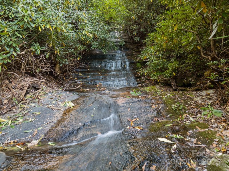 Property image 4 of 273 Davids Trace in Lobdell Woods, Pisgah Forest, NC 28768