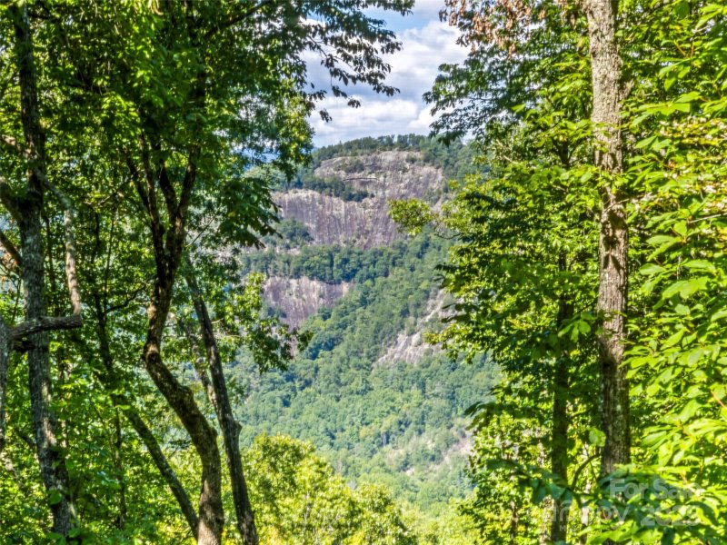 Property image 3 at 286 Hedgewood Drive, Tuckasegee, NC 28783