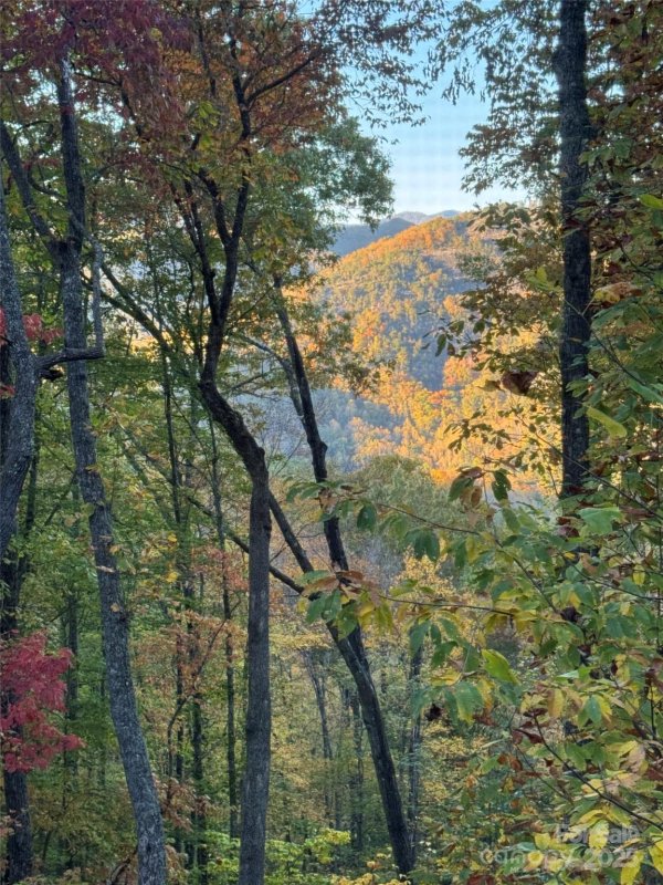 Property image 4 at 286 Hedgewood Drive, Tuckasegee, NC 28783