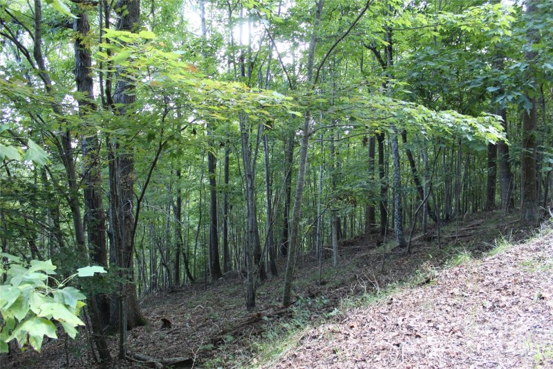 Property image 2 of 0 Azule Ridge Drive in South Mountain Peaks, Bostic, NC 28018