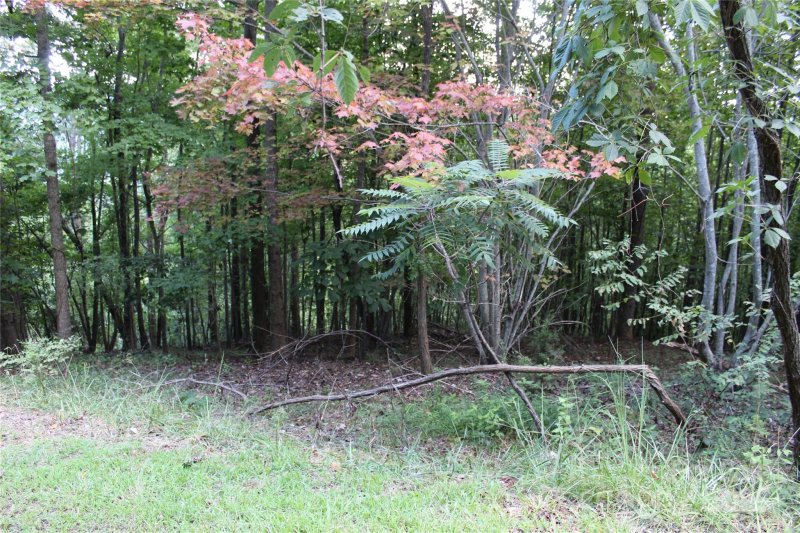 Property image 3 of 0 Azule Ridge Drive in South Mountain Peaks, Bostic, NC 28018