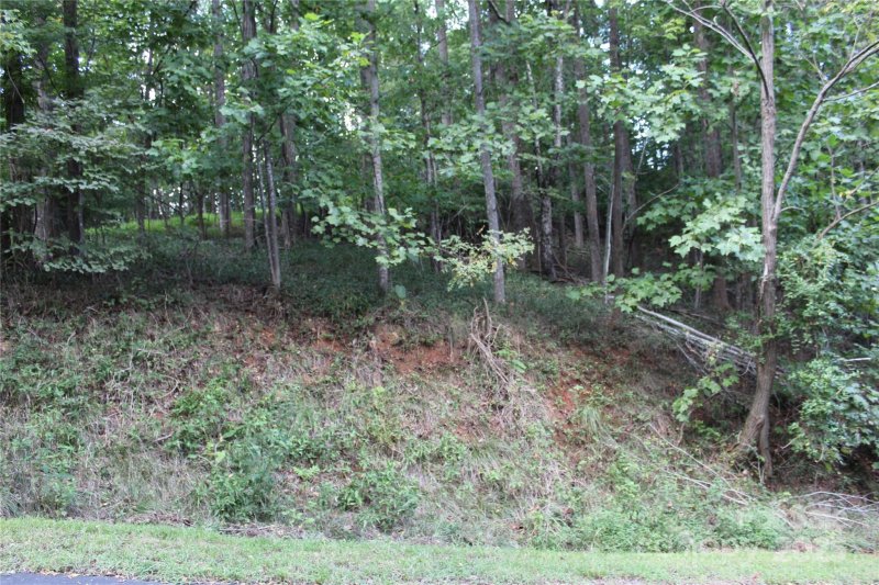 Property image 4 of 0 Azule Ridge Drive in South Mountain Peaks, Bostic, NC 28018
