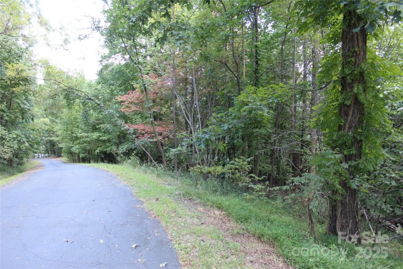 Property image 5 of 0 Azule Ridge Drive in South Mountain Peaks, Bostic, NC 28018