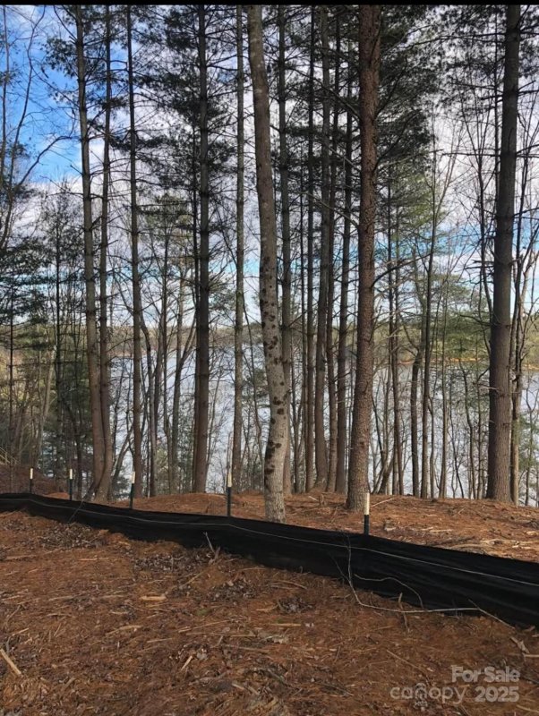 Property image 2 of 291 Crest View Drive in The Peninsula at Lake James, Nebo, NC 28761