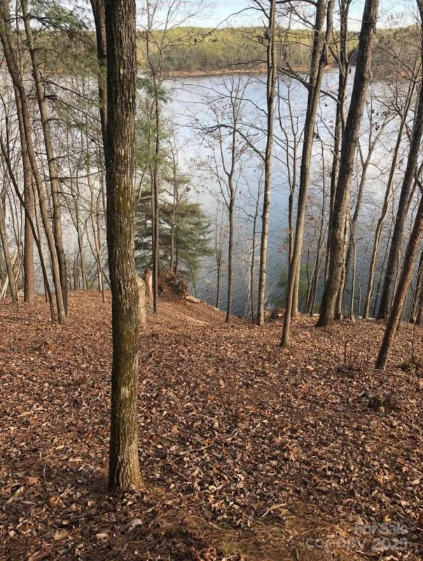 Property image 3 of 291 Crest View Drive in The Peninsula at Lake James, Nebo, NC 28761