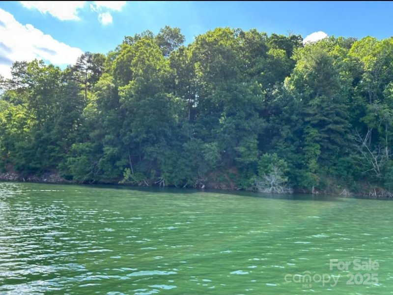 Property image 4 of 291 Crest View Drive in The Peninsula at Lake James, Nebo, NC 28761