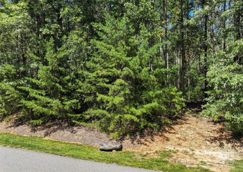 Property image 2 of 15 Mirehouse Run in Ramble Biltmore Forest, Asheville, NC 28803