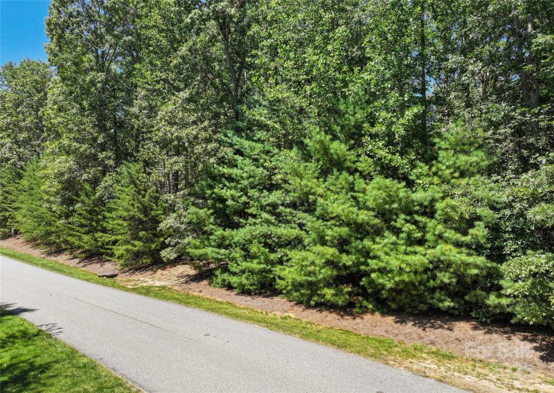 Property image 3 of 15 Mirehouse Run in Ramble Biltmore Forest, Asheville, NC 28803