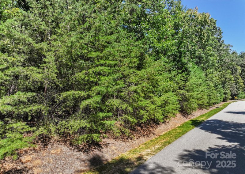 Property image 4 of 15 Mirehouse Run in Ramble Biltmore Forest, Asheville, NC 28803