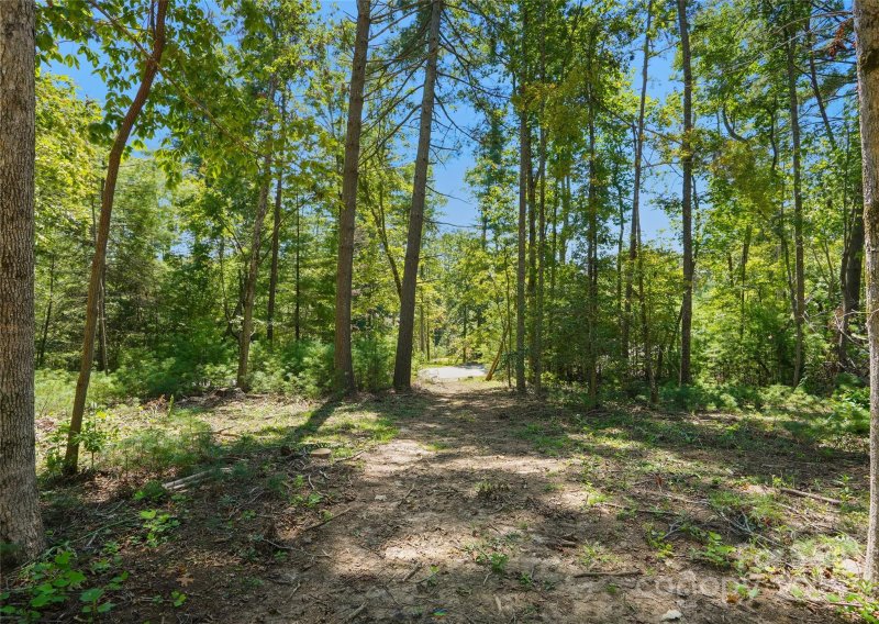 Property image 5 of 15 Mirehouse Run in Ramble Biltmore Forest, Asheville, NC 28803
