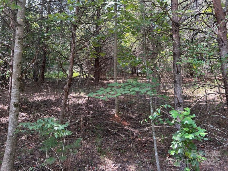 Property image 5 of 4 6 Waterford Court in The Greens, Granite Falls, NC 28630