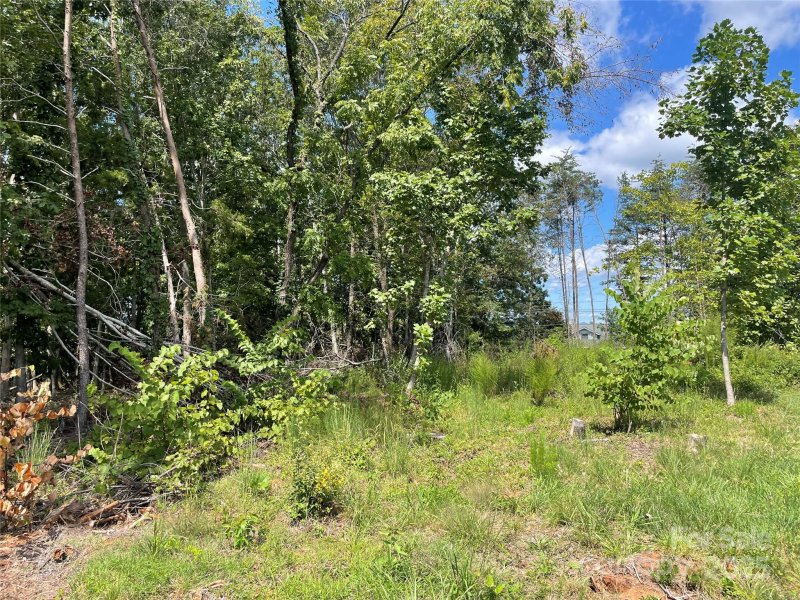 Property image 2 of 00 Carriage Drive in Jamesfield, Rutherfordton, NC 28139