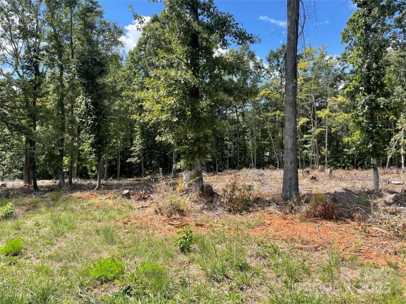 Property image 5 of 00 Carriage Drive in Jamesfield, Rutherfordton, NC 28139