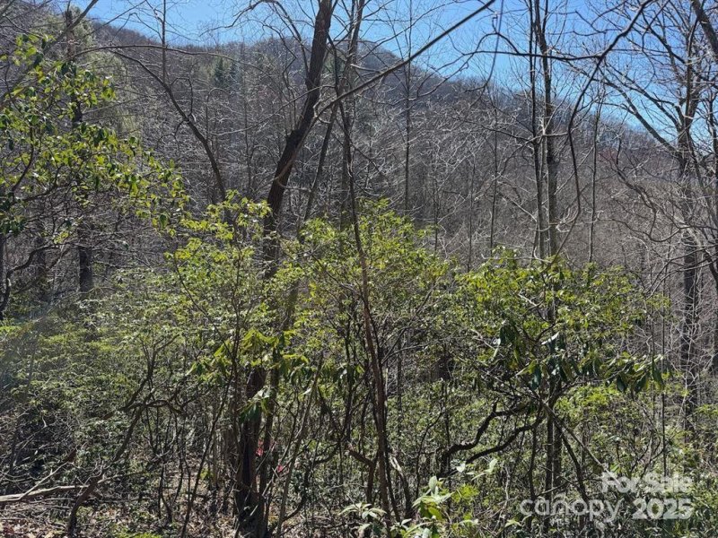 Property image 3 of 0000 Eagle Roost Road in Mountain Top Development Inc, Maggie Valley, NC 28751