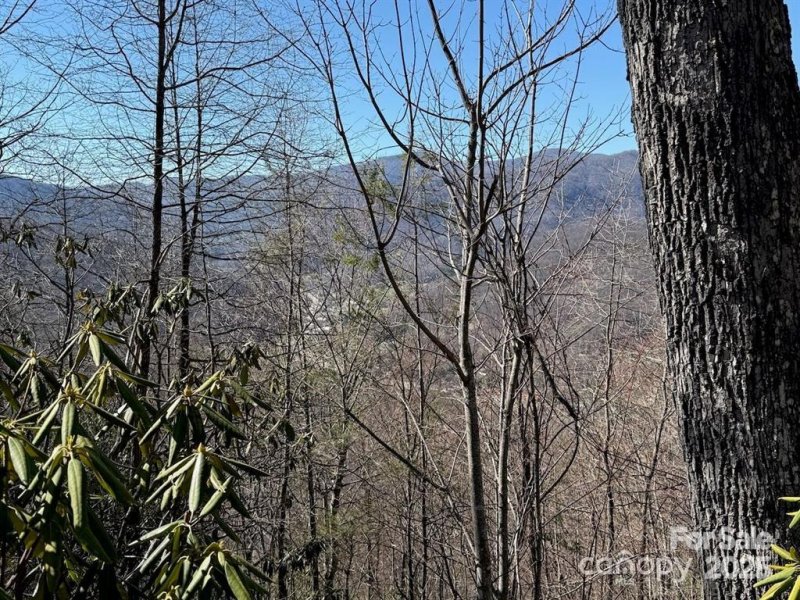 Property image 4 of 0000 Eagle Roost Road in Mountain Top Development Inc, Maggie Valley, NC 28751