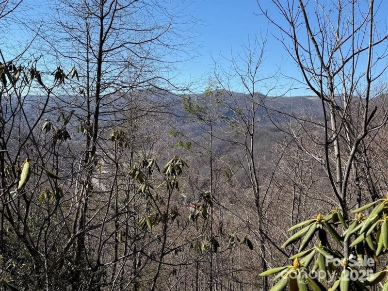 Property image 5 of 0000 Eagle Roost Road in Mountain Top Development Inc, Maggie Valley, NC 28751