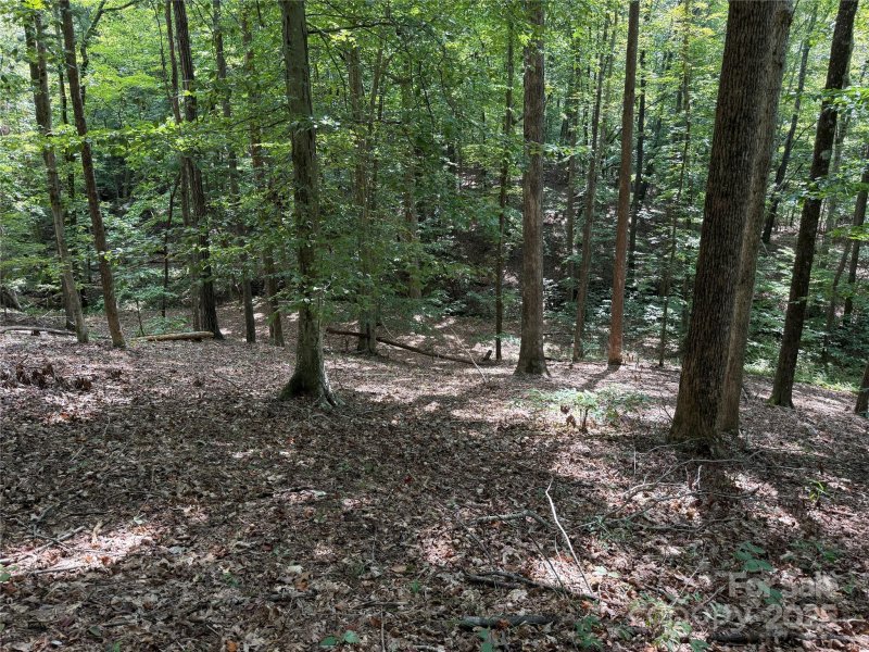 Property image 2 of 0 Mountain Brook Trail in Grandview Peaks, Nebo, NC 28761