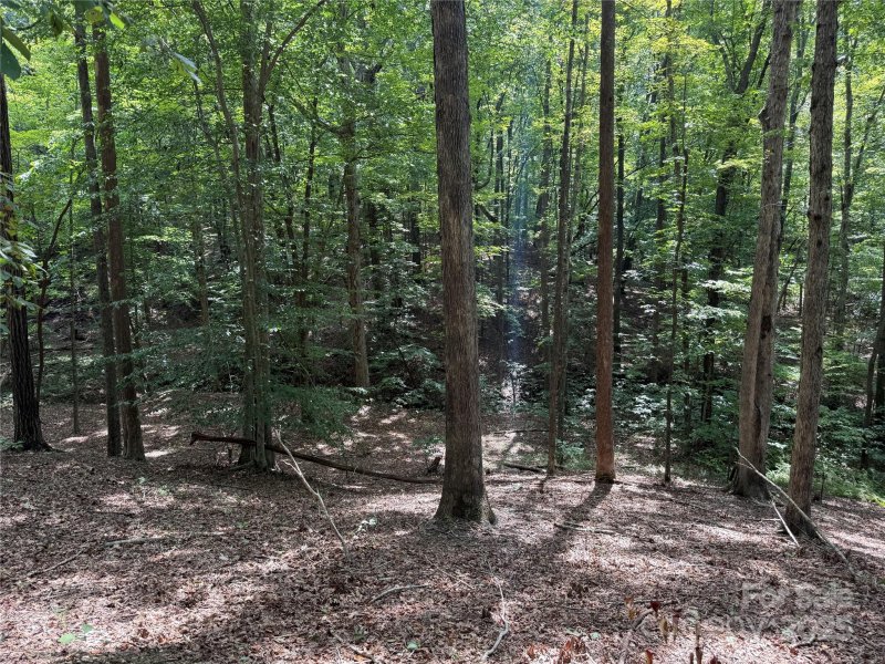 Property image 3 of 0 Mountain Brook Trail in Grandview Peaks, Nebo, NC 28761
