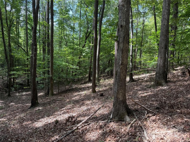 Property image 5 of 0 Mountain Brook Trail in Grandview Peaks, Nebo, NC 28761