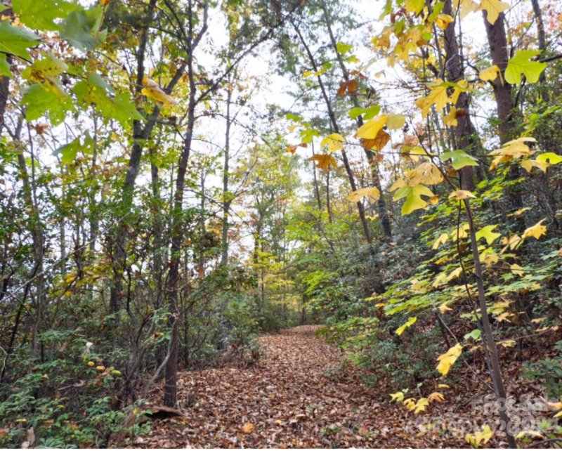 Property image 4 of 0 Mountain Lookout Drive in Golden Valley Estates, Bostic, NC 28018