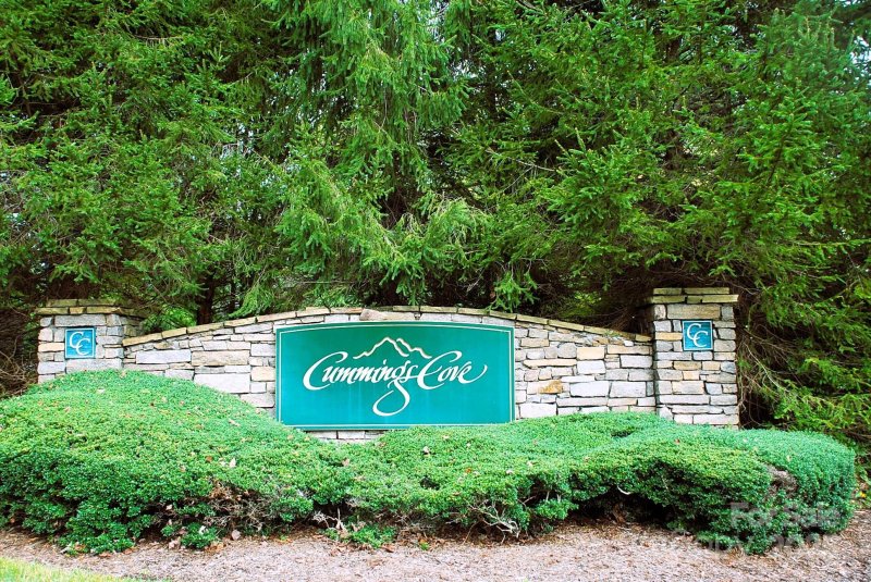 Property image 4 of 8a Cove Overlook Drive in Cummings Cove, Hendersonville, NC 28739