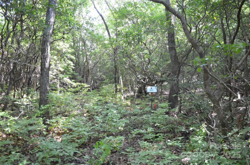 Property image 2 of Lot 9 Galax Lane in Sequoyah Woods, Brevard, NC 28712