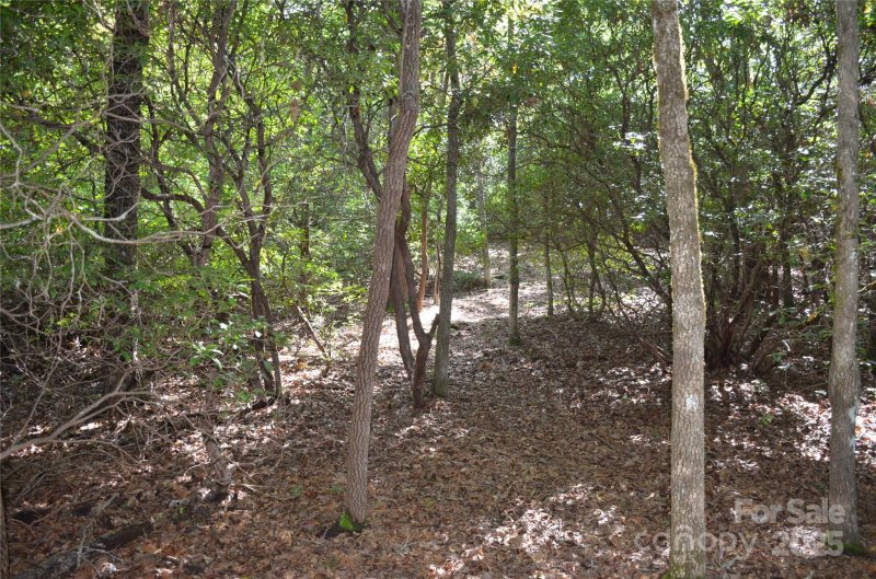Property image 4 of Lot 9 Galax Lane in Sequoyah Woods, Brevard, NC 28712