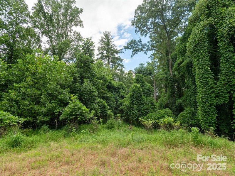 Property image 2 of 00 Willow Brook Falls None in Willow Brook Falls, Hendersonville, NC 28739