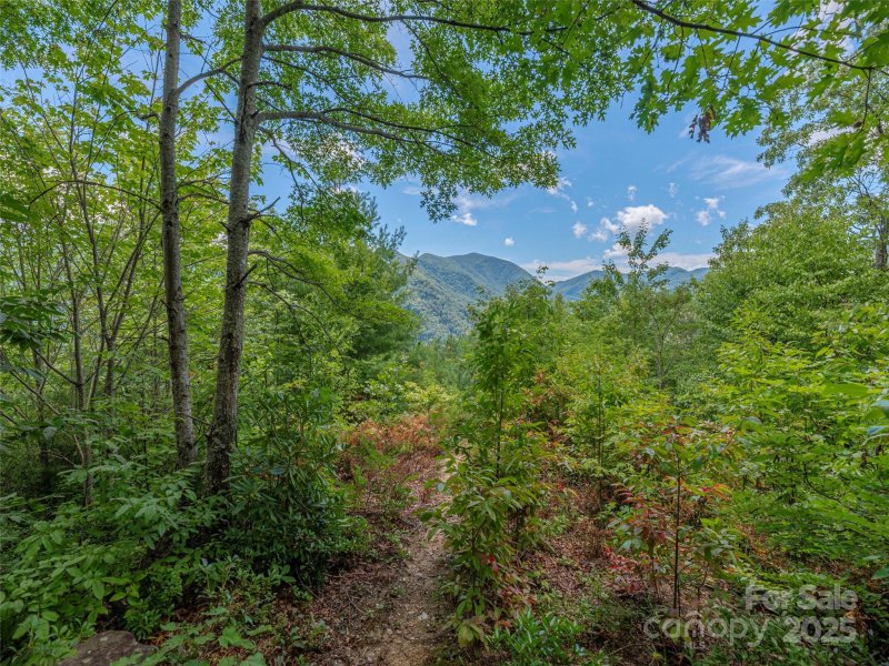 Property image 5 of 00 Split Rail Drive in Bear Ridge, Maggie Valley, NC 28751