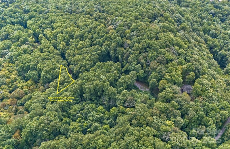 Property image 3 of 9999 Flowing Brook Lane in Summer Walk, Waynesville, NC 28786